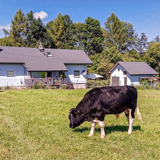 Apartman Spytkowice - PPG104 (4)