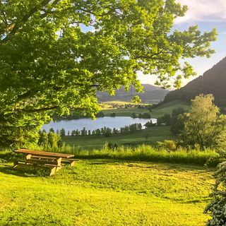 Vendégház Sallaberg - AST286 (4)