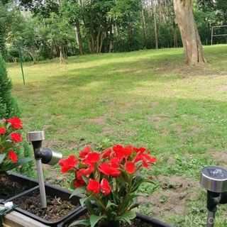 Apartament Sunrise Kołobrzeg (3)