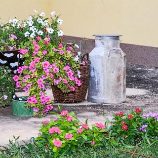 Apartman Sveti Filip i Jakov - CDI714 (5)