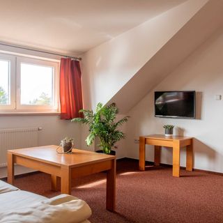 Penzion Na Stavidle Uherské Hradiště II (3)