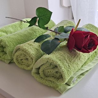 Haus Piroschka Mörbisch am See (5)