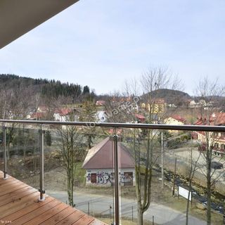 Apartament Sandra Karpacz (5)