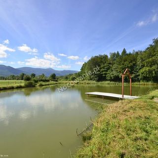 Agroturystyka u Dzidka, wędkowanie Kostrzyca (2)