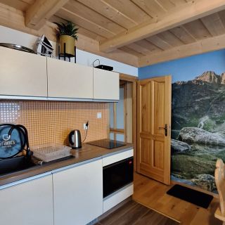 Apartamenty i Pokoje Goscinne U Jambora Zakopane (3)