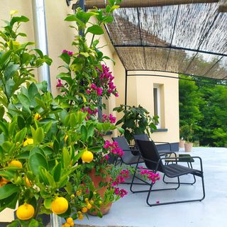 St.Groth Vendégház Zalaszentgrót (2)