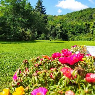 St.Groth Vendégház Zalaszentgrót (4)