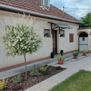 Ruszi Apartman Gyula (5)