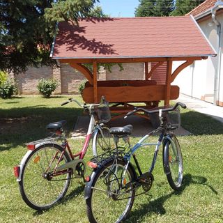 Ruszi Apartman Gyula (2)