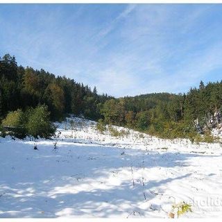 Apartamenty Miłków Karpacz (4)