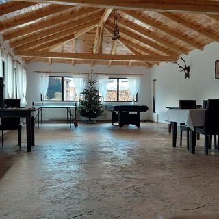 Casa Elena Botuș (2)