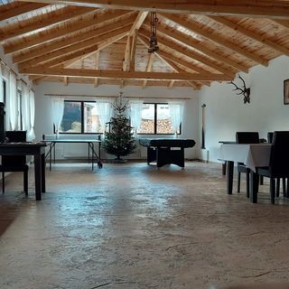 Casa Elena Botuș (2)