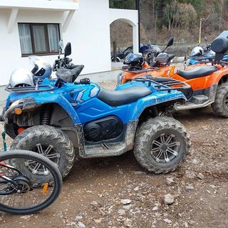 Casa Elena Botuș (3)