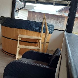 Casa Elena Botuș (4)