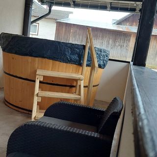 Casa Elena Botuș (4)