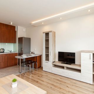 Apartament Łąkowa 3 (3)