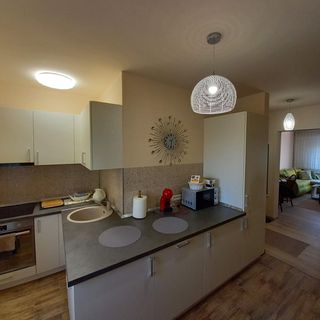 Apartament Tei Oradea (4)