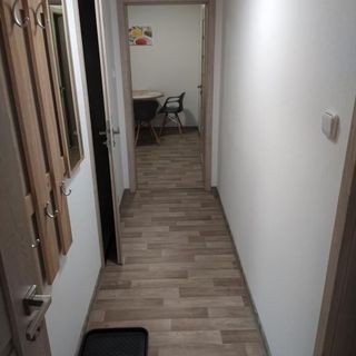 Apartmán u Davida Hlohovec (5)
