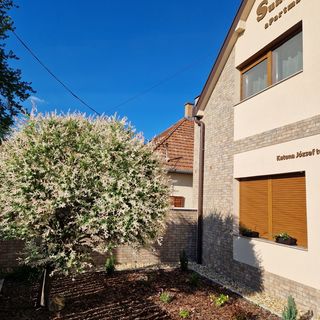 Sunlight Apartman Gyula (4)