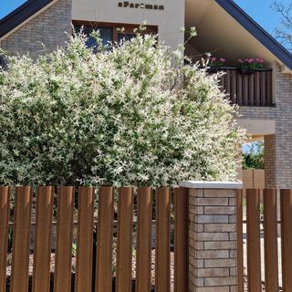 Sunlight Apartman Gyula (2)