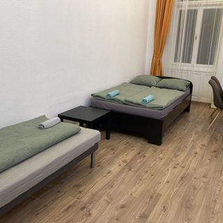 Roland Apartman Buda 1 Budapest (4)