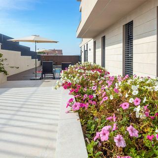 Apartman Sveti Filip i Jakov - CDI633 (5)