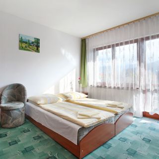 Willa Slavita Zakopane (2)