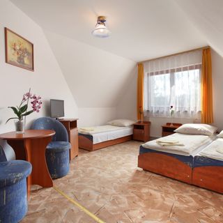 Willa Slavita Zakopane (4)