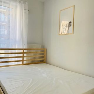 LOOKAP PRIMO PREMIUM Łódź (2)