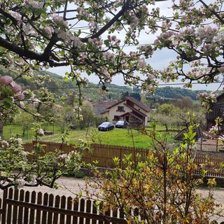 Cottage in Traditional Village Brăduleț (2)