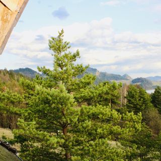 Zielony Dom Niedzica (5)