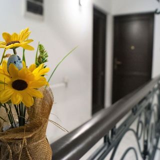 Aparthotel Central View Craiova  (4)