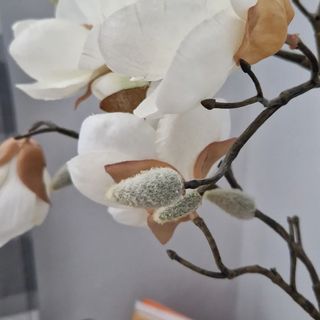 Angi Apartman Harkány (4)