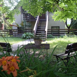 Repülőhal Apartmanház Zebegény (4)