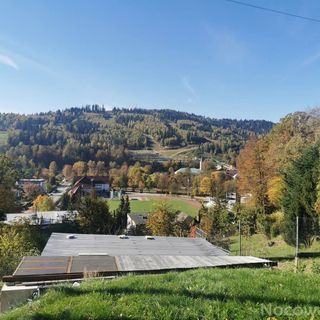 Pensjonat Willa Olivia Wisła (3)