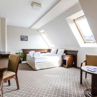 Hotel Crocus Zakopane (5)