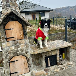 Śnieżna chatka Karpacz (4)