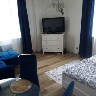 The Belcher´s appartment Karlovy Vary (3)
