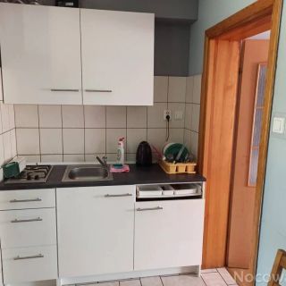 Noclegi Straszyn (3)