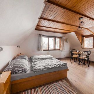 Šumavská chalupa u lesa Rejštejn (3)