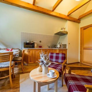 Apartament Poddasze Zakopane (3)