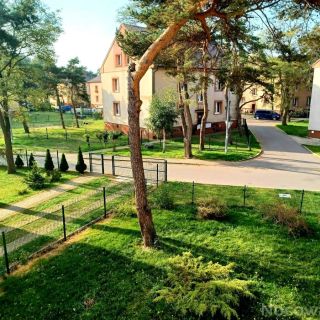 Apartament HALO Hel (2)