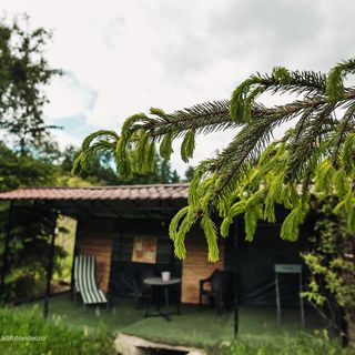 Ethereal Chalet Valea Mare Pravăț (4)