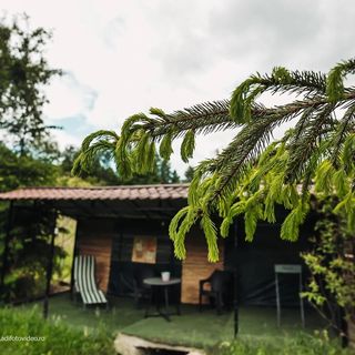 Ethereal Chalet Valea Mare Pravăț (4)