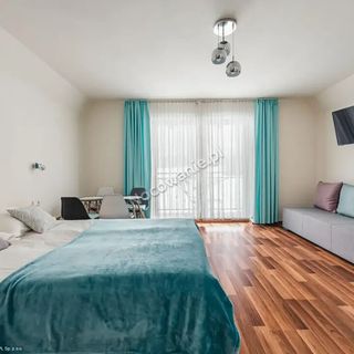 Apartamenty Tatry Panorama Zakopane (4)