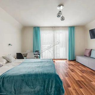 Apartamenty Tatry Panorama Zakopane (4)