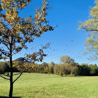 Csigaház Apartman Badacsonytomaj (2)