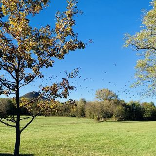 Csigaház Apartman Badacsonytomaj (2)