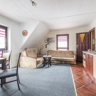 Willa Dziubek2 Zakopane (2)