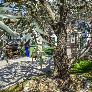 Apartments Jasmine Biograd (3)